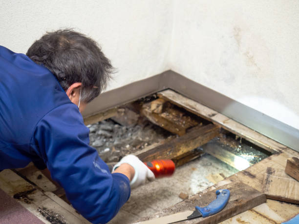 Best Mold Testing  in Exeter, PA