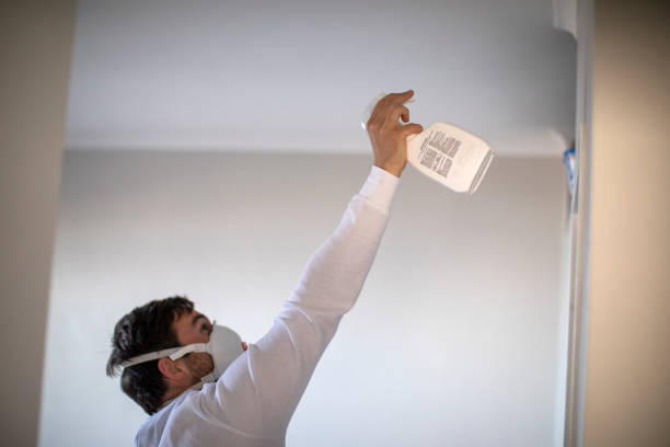 Best Fast Mold Removal  in Exeter, PA
