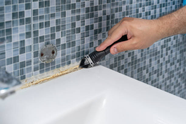 Best Residential Mold Removal  in Exeter, PA