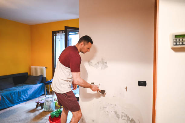 Best Office Mold Removal Services  in Exeter, PA